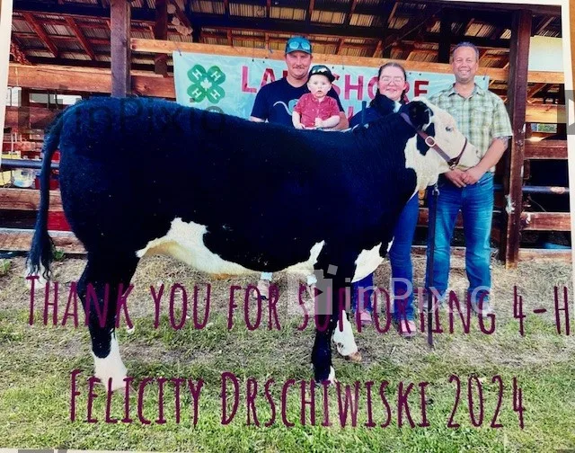 2024 4-H steer raised through the local 4-H program
